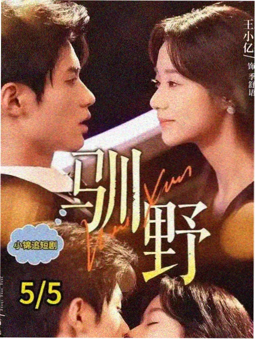 和平使者第二季 DC剧集海报